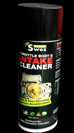 Throttle Body and Intake Cleaner